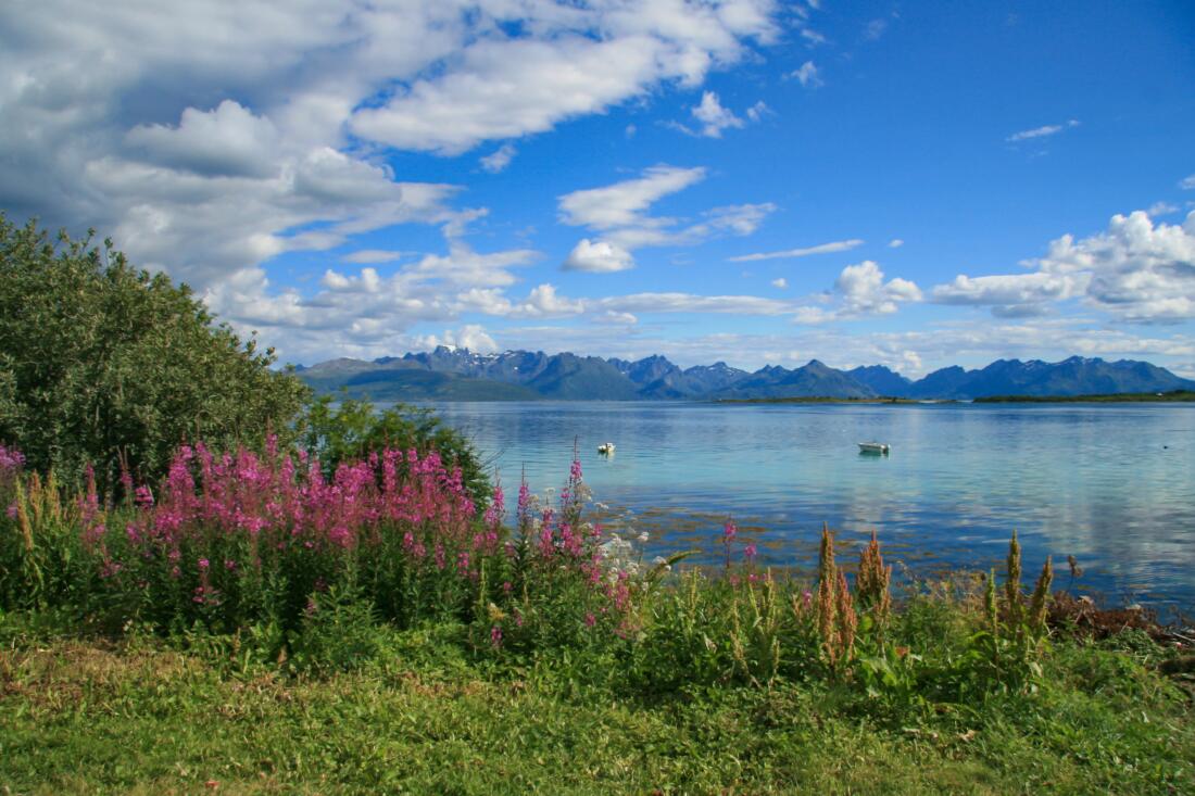 Studiesenter RKK Vesterålen